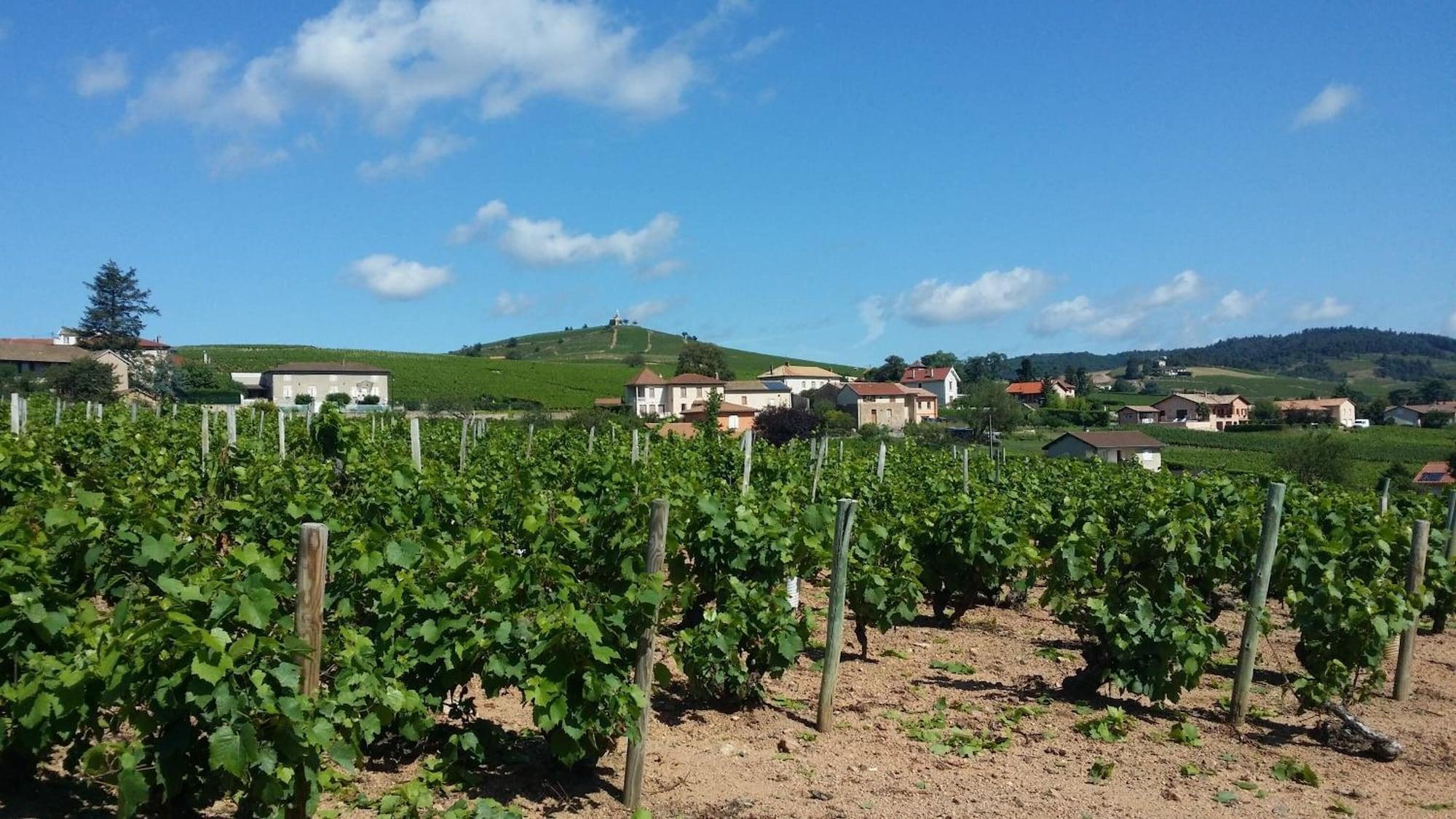 Logis Hotel Des Grands Vins Fleurie Luaran gambar