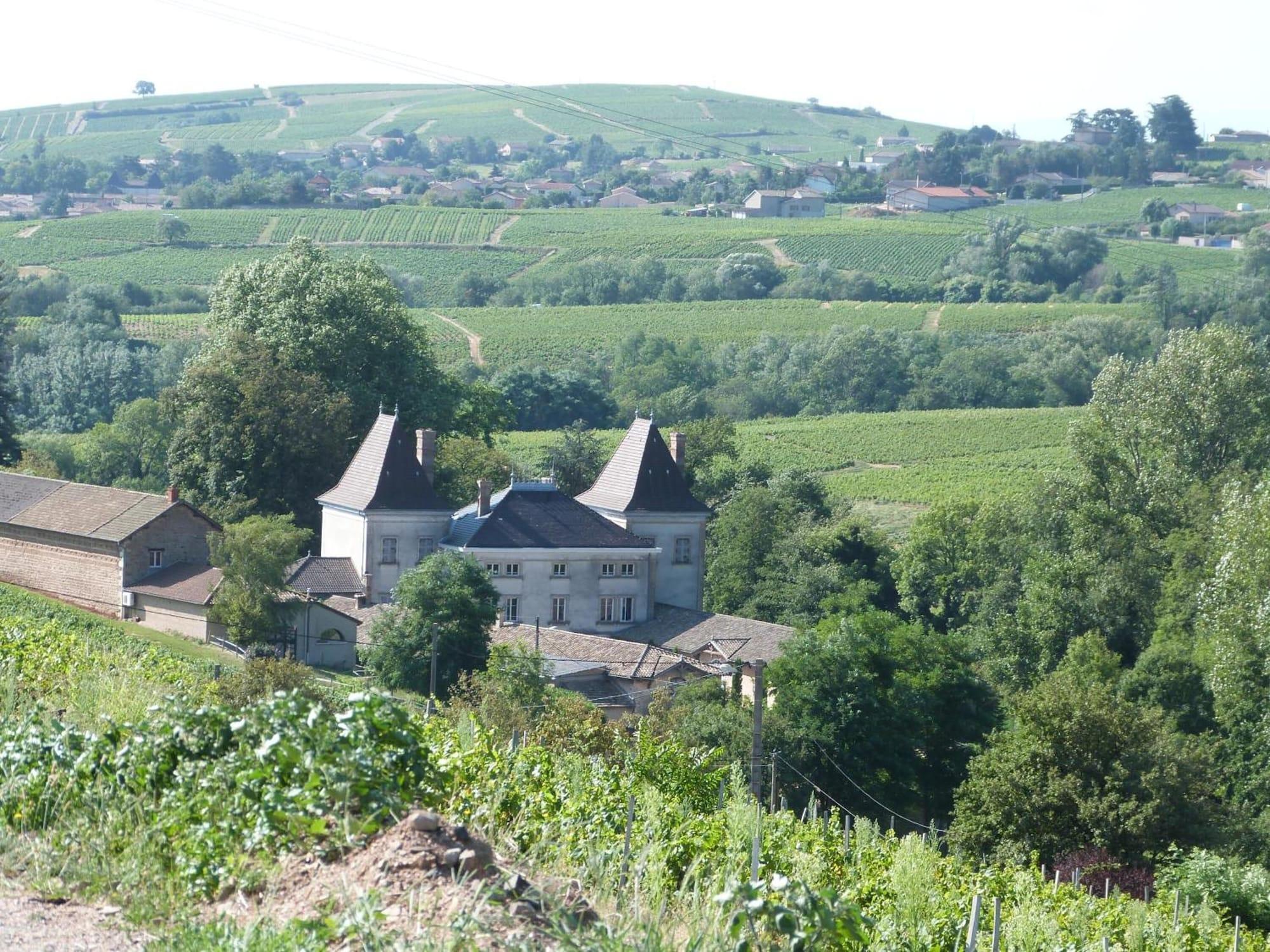 Logis Hotel Des Grands Vins Fleurie Luaran gambar