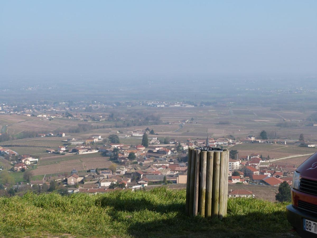 Logis Hotel Des Grands Vins Fleurie Luaran gambar